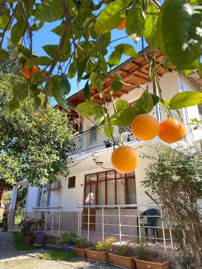 Çıralı 契拉勒俄麦克旅馆酒店 外观 照片